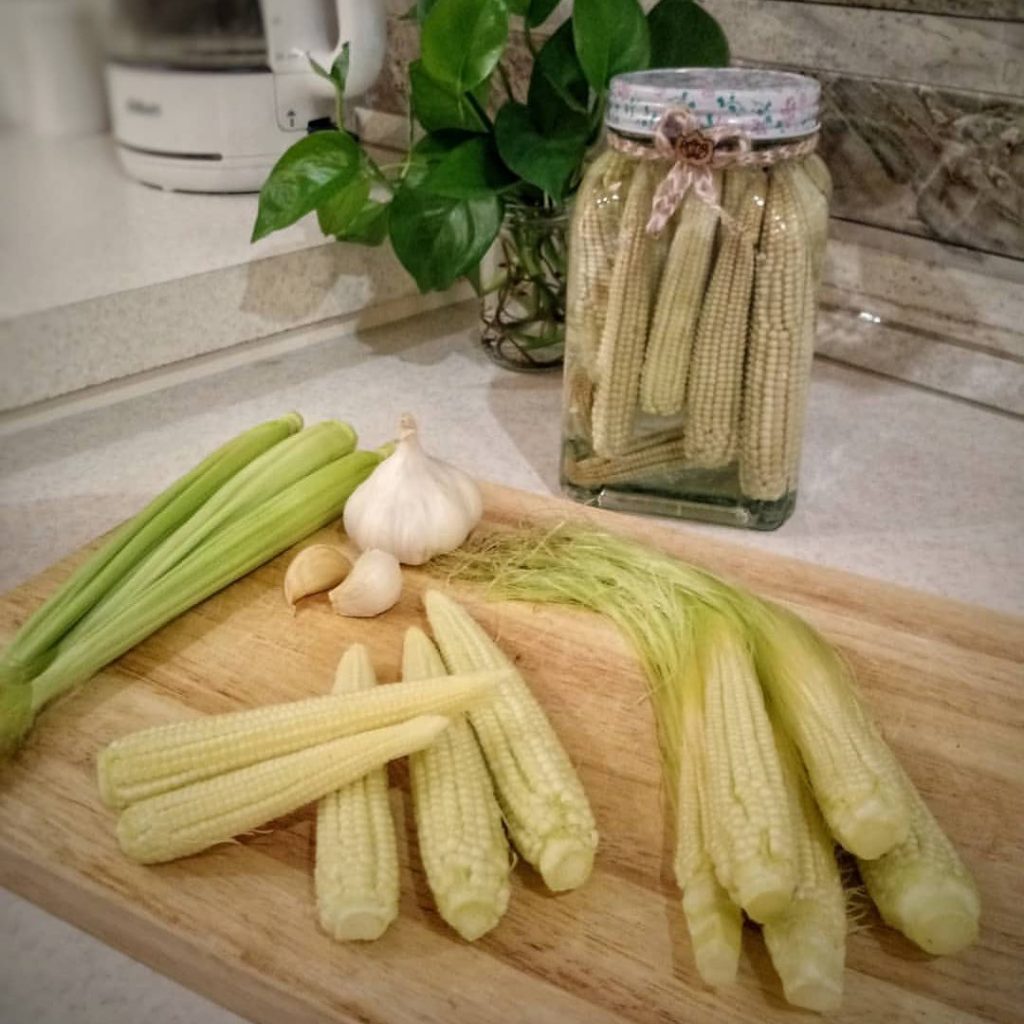 طرز تهیه ترشی بچه بلال