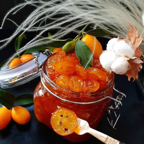 طرز تهیه مربا کامکوات