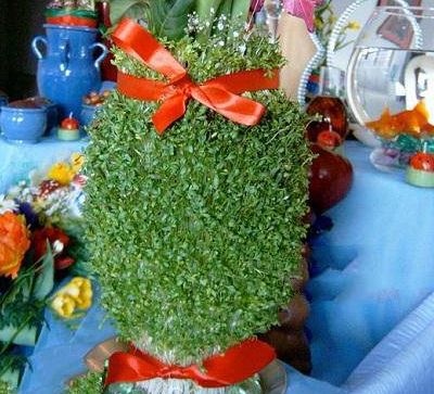 طرز تهیه سبزه شاهی